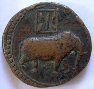 MYSORE,Tipu sultan copper double paisa