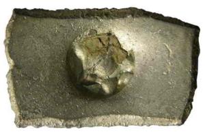 Shakya janapada silver 5 shana 7.12g