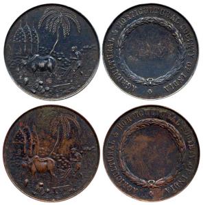 Silver and Copper, Agricultural and Horticultural Society of India, a farmer ploughing the
