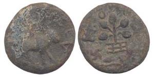 Satavahanas, Lead, 14.49 g, Nasik-Lion, lion walking to right on obv, a tree-in-railing on