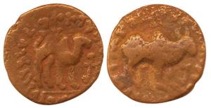 Kushanas, Kujula Kadphises, Copper Drachma, bull on obv., two hunched camel with Kharoshth