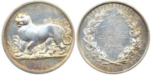 Rifle Association of Northern India Medal, Silver, 68.40 g, a tiger to left on obv.; name 