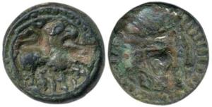 Vishnukundin, Copper, 7.31 g, conch on obv and a lion with curved tail to right on rev. Fi