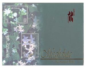 2008, Meghduta Collection of PPC (29), Issued by Karnataka Postal Circle, Bangalore. Mint,