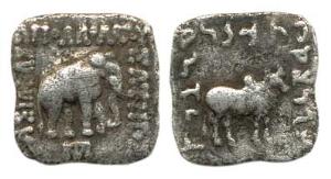 Indo-Greeks, Apollodotus I (c. 160-150 BC) Silver, Square Drachm, 2.5 g, Taxila Mint, elep