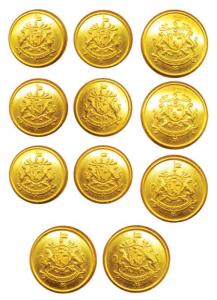 Rewa Buttons, coat of arms of the state, 5 large and 6 small buttons. Unused in Mint State