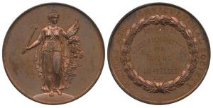 Madras, Agri- Horticultural Society Medal, Copper, 1913, awarded For Trophy of Foliage Pla