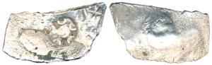 Punch Marked, Narhan Area, Silver Double Karshapana, single circular symbol of five cresce