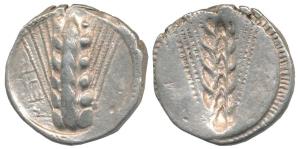 Greek, Lucania, Metapontum (c. 480 BC), Silver Stater, 8.02g, obv. six grain ear of corn, 
