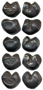 Thailand, Kingdom of Siam, Rama IV, Silver Pot Duong Bullet Money. Very Fine. (5)