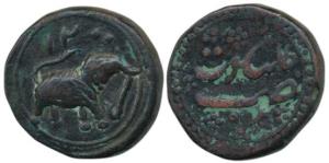 Tipu Sultan, Copper Paisa, 11.16g, Kalikut Mint, AM 1200, elephant walking to right. Very 