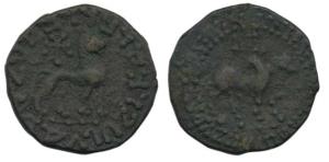Indo-Scythians, Azes (c. 57-35 BC), Copper, bull walking to right with Greek legend around