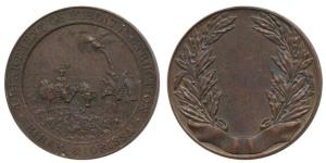 Department of Public Instruction, Copper Medal, 41g, farmer ploughing a field with palm tr