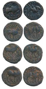 Kushanas, Kujula Kadphises (c. 70-90 AD), Copper Drachma, bull walking to right with Greek