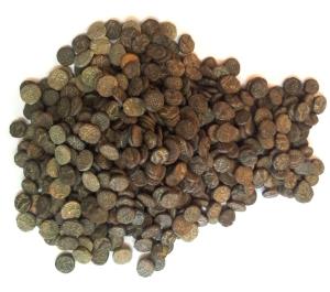 Kangra Raja (12th century AD), Copper Jital (600), assorted lot of Apurva, Triloka, Singar