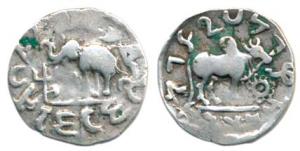 Audumbara, Mahadeva, Silver Drachm, 2.10g, obv. humped bull facing right, with a dotted ci