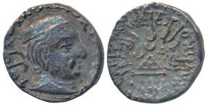 Western Kshatrapas, Kardamaka Family, Viradaman, son of Damsena, as Mahakshatrapa, SE 160,