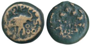 Satavahanas, Siri Satakarni, Bronze Unit, 13.85g, elephant walking to right with upraised 