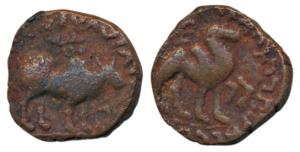 Kushanas, Kujula Kadphises (c. 30-80 AD), Copper Tri Chalkon, 7.58g, obv. bull walking to 