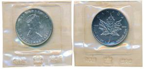 Canada, Elizabeth II, Silver 5 Dollars, 1oz, 31.1g, 1989, (KM 163). Brilliant Uncirculated