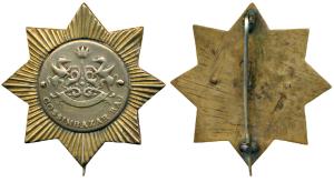 Cossimbazar Raj, Brass Badge, coat of arms of the state with Cossimbazar Raj inscribed bel