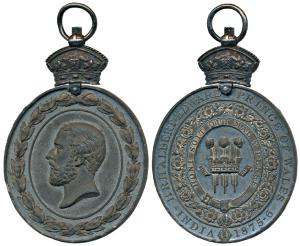 Prince of Wales Visit To India, Presentation Medal, White Metal, a Large oval medal surmou