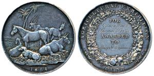 Agricultural Exhibition Oudh, Silver Medal, 61.8g, obv. domestic animals with palm trees i