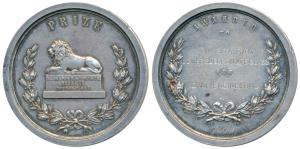 Thomason College of Civil Engineering, Roorkee, Silver Prize Medal, obv. British lion rest