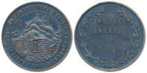 Junagadh Agricultural and Industrial Exhibition 1917, Copper, 48.25g, obv. a lion seated l