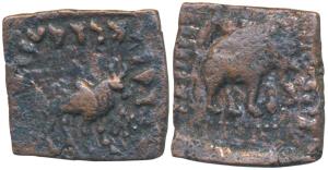 Indo-Scythians, Maues (c. 125-85 BC), Copper Square Unit, 10.72g, obv. an elephant standin