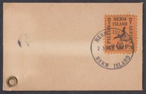 1951 Herm Island Pigeon Service FDC