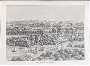 The Cotton Market Bombay. 1891. 22 x 15.5cm.