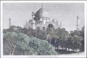 Gardens of the Taj Mahal, Agra. 1878. 25 x17 cm.