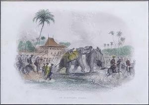 An Elephant Fight. 1858. 22 x 15 cm.