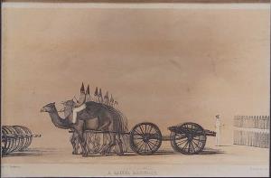 A Camel Battery. 1848. 28.5 x 18.5 cm.