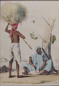 Lithograph, (Coastal profession), by Mrs. F. Parker. 1847. 16.5 x 24.5 cm.