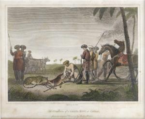 Conclusion of a Cheeta Hunt at Cambay, from an original Drawing by Lady Malet. 24.5 x 20 c