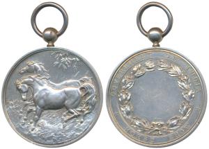 Horse Show, Large Silver Medal, 100.55g, obv. two horses prancing in a field, rev. Governm