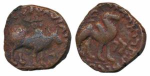Kushanas, Kujula Kadphises (c. 30-80 AD), Copper Tri Chalkon, 7.58g, obv. bull walking to 