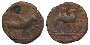 Kushanas, Kujula Kadphises, Copper Penta Chalkon, 9.24g, obv. bull walking to right with G