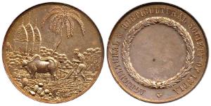 Agricultural and Horticultural Society of India, Copper Medal, 28.58g, obv. Hindu ryot plo
