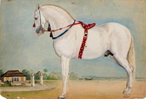 A dignified white stallion, saddled and ready to ride, stands on a flat sandy plain. A whi