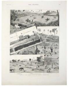 View - Bombay, TGI Hunting Scene in Andheri Various jackal hunting scenes that take us thr