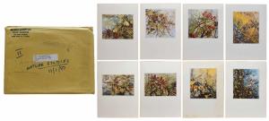 Envelope no. 2 containging eight small and eight large blank menu cards – ‘Nature Study’ b