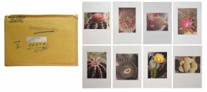 Part 2. Envelope no. 5 containging eight small and eight large blank menu cards on various