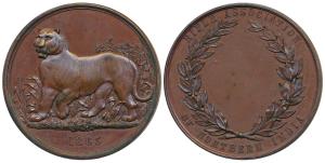 Rifle Association of Northern India, Copper Medal, 88.1g, obv. a tiger in the jungle, walk