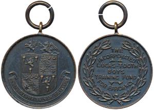 Lucas-Tooth Boys Training Fund, Bronze Medal, 16.9g, rev. For Efficiency. Extremely Fine, 