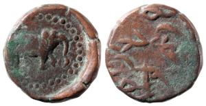 Haider Ali, Copper Paisa, 11.58g, Bandar Kalikat Mint, elephant walking to right (KM 2). V