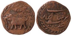 Tipu Sultan, Copper Paisa, 11.29g, Farrukhyab Hisar Mint, AM 1218, corded border on both s