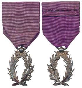 France, Order of the Palms, 3rd class, Silver Medal, 12.43g, World War I, a wreath palm de